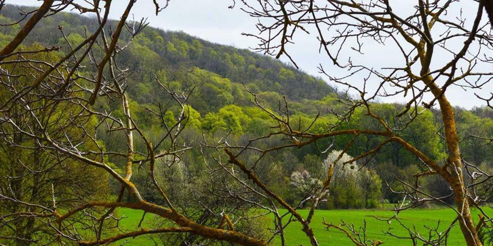 Somhegyi Oereg Harsfak Major Vendeghaz Bed and Breakfast Bakonybél Εξωτερικό φωτογραφία